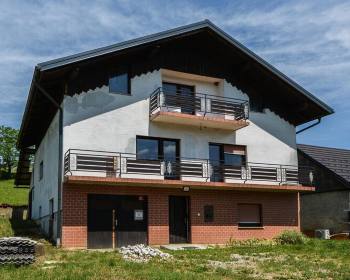 Raziskovalni projekt: Modeli aktivacije velikih družinskih hiš s praznimi ali delno praznimi bivalnimi površinami